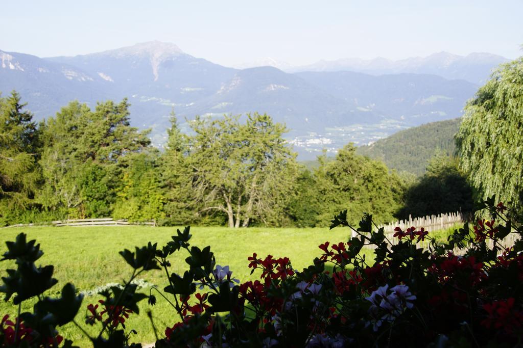 Gastreinhof Meltina Esterno foto