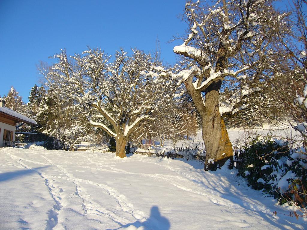 Gastreinhof Meltina Esterno foto